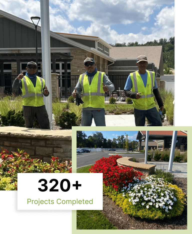 TVO crew on a completed commercial property — 320+ projects completed