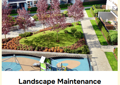 Landscape Maintenance
